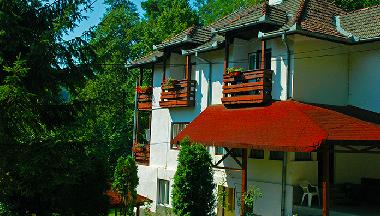 Villa in Sovata (Mures) or holiday homes and vacation rentals
