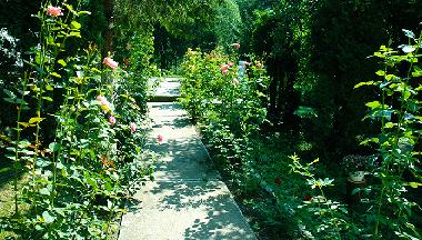 Villa in Sovata (Mures) or holiday homes and vacation rentals