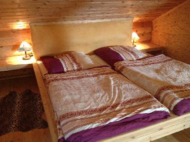 Holiday House in Dmmer (Mecklenburgische Seenplatte) or holiday homes and vacation rentals