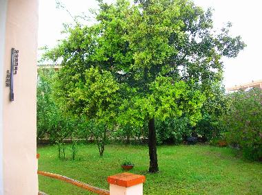 Holiday House in VILLASIMIUS (Cagliari) or holiday homes and vacation rentals