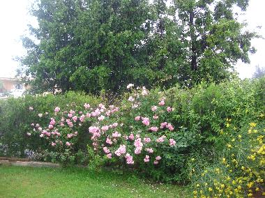 Holiday House in VILLASIMIUS (Cagliari) or holiday homes and vacation rentals