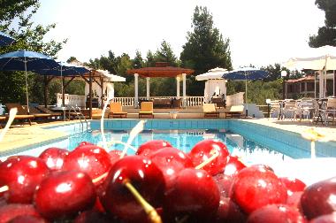 Holiday Apartment in Nikiti/Metamorfossi (Chalkidiki) or holiday homes and vacation rentals