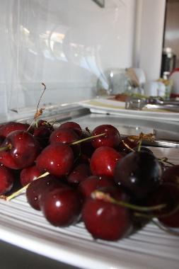 Holiday Apartment in Nikiti/Metamorfossi (Chalkidiki) or holiday homes and vacation rentals