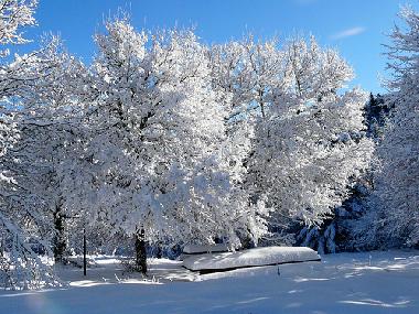 Holiday Apartment in Pescopennataro (Isernia) or holiday homes and vacation rentals