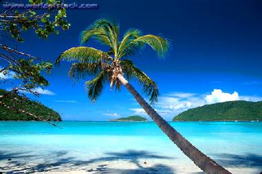 Holiday Apartment in St Thomas (Virgin Islands (American)) or holiday homes and vacation rentals