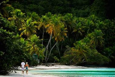 Holiday Apartment in St Thomas (Virgin Islands (American)) or holiday homes and vacation rentals