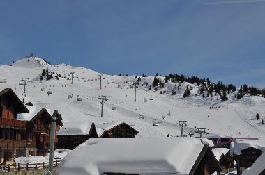 Holiday House in Fiesch (Aletsch) or holiday homes and vacation rentals