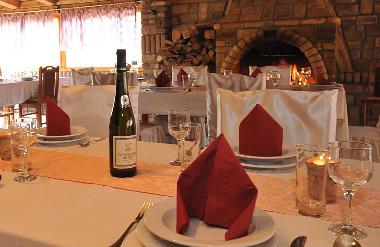 Villa in Sremski Karlovci (Vojvodina) or holiday homes and vacation rentals