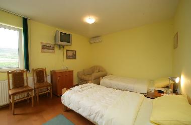 Villa in Sremski Karlovci (Vojvodina) or holiday homes and vacation rentals