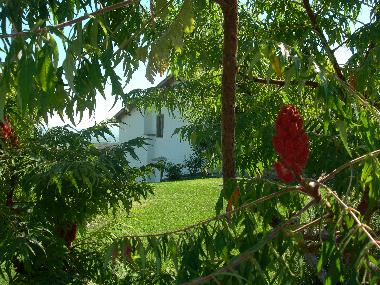 Holiday House in Montevarchi (Arezzo) or holiday homes and vacation rentals