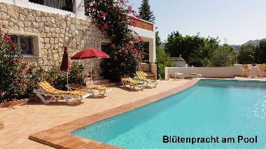 Holiday House in Moraira (Alicante / Alacant) or holiday homes and vacation rentals