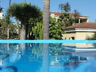 Holiday Apartment in Puerto de la Cruz (Teneriffa) or holiday homes and vacation rentals