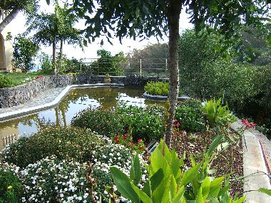 Holiday Apartment in Puerto de la Cruz (Teneriffa) or holiday homes and vacation rentals