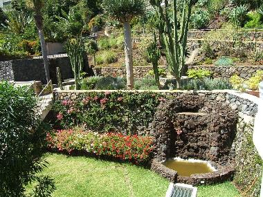 Holiday Apartment in Puerto de la Cruz (Teneriffa) or holiday homes and vacation rentals