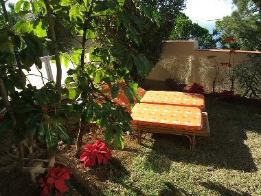 Holiday Apartment in Puerto de la Cruz (Teneriffa) or holiday homes and vacation rentals