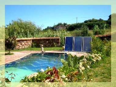 Holiday House in Vila do Porto (Azores) or holiday homes and vacation rentals
