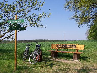 Holiday House in Krakow am See (Mecklenburgische Seenplatte) or holiday homes and vacation rentals