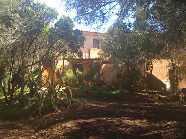 Holiday House in Porto Vecchio (Corse-du-Sud) or holiday homes and vacation rentals