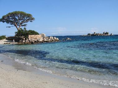 Holiday House in Porto Vecchio (Corse-du-Sud) or holiday homes and vacation rentals