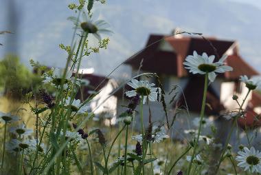 Holiday House in Rakhiv (Zakarpats'ka Oblast') or holiday homes and vacation rentals