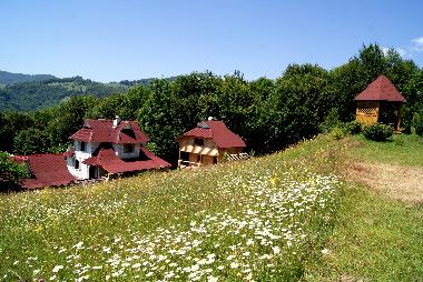 Holiday House in Rakhiv (Zakarpats'ka Oblast') or holiday homes and vacation rentals