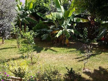 Holiday Apartment in Alanya (Antalya) or holiday homes and vacation rentals