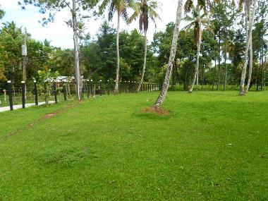Bed and Breakfast in S�nchez  (Samana) or holiday homes and vacation rentals