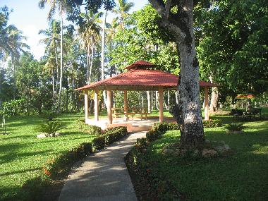 Nice when it is dry and....