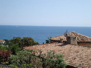 Holiday House in Cannes (Alpes-Maritimes) or holiday homes and vacation rentals