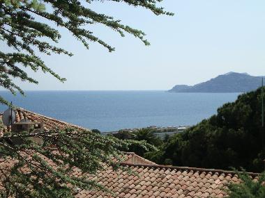 Holiday House in Cannes (Alpes-Maritimes) or holiday homes and vacation rentals