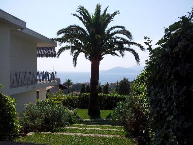 Holiday House in Cannes (Alpes-Maritimes) or holiday homes and vacation rentals