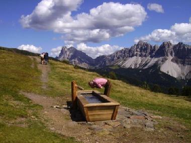Bed and Breakfast in Brixen (Bolzano-Bozen) or holiday homes and vacation rentals