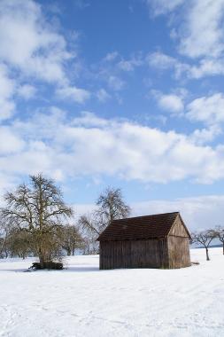 Holiday Apartment in Blaufelden-Herrentierbach (Hohenlohe) or holiday homes and vacation rentals
