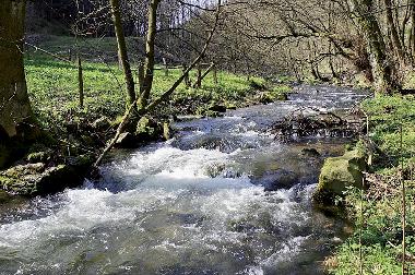 Holiday Apartment in Willingen/Upland - Komfort-Fewo im Stryck**** (Sauerland) or holiday homes and vacation rentals
