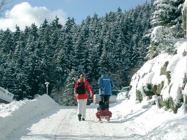Holiday Apartment in Willingen/Upland - Komfort-Fewo im Stryck**** (Sauerland) or holiday homes and vacation rentals