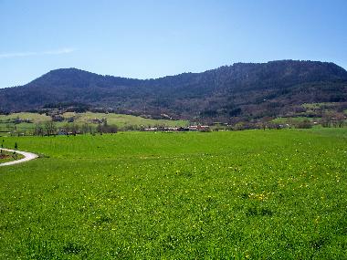 Holiday House in Puivert (Aude) or holiday homes and vacation rentals