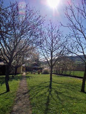 Holiday House in Puivert (Aude) or holiday homes and vacation rentals