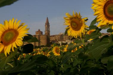 Holiday House in Pieve di Chio (Arezzo) or holiday homes and vacation rentals