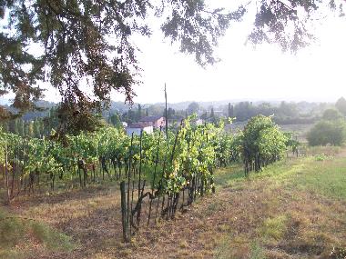 Holiday Apartment in Lucca (Lucca) or holiday homes and vacation rentals