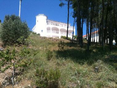 Villa in Stanici (Splitsko-Dalmatinska) or holiday homes and vacation rentals