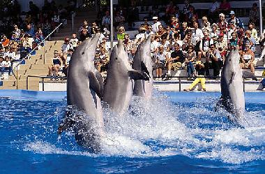 Holiday Apartment in Palafolls (Barcelona) or holiday homes and vacation rentals