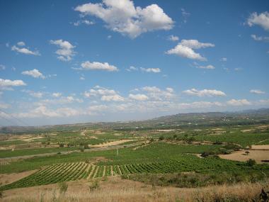 Holiday House in San Asensio (La Rioja) or holiday homes and vacation rentals