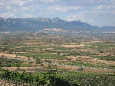 Holiday House in San Asensio (La Rioja) or holiday homes and vacation rentals