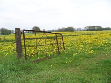 Chalet in Vledder (Drenthe) or holiday homes and vacation rentals