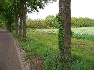 Chalet in Vledder (Drenthe) or holiday homes and vacation rentals
