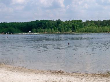 Chalet in Vledder (Drenthe) or holiday homes and vacation rentals