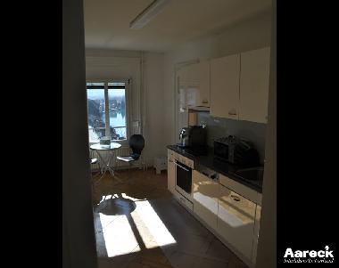 Holiday Apartment in Interlaken (Interlaken - Jungfrau) or holiday homes and vacation rentals