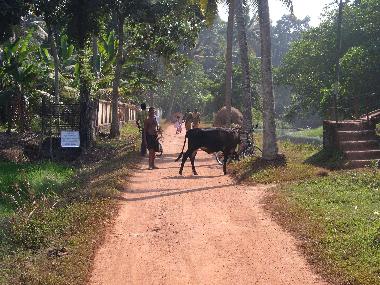 Off the beaten track