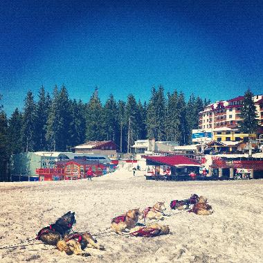 Holiday Apartment in Smolyan (Smolyan) or holiday homes and vacation rentals