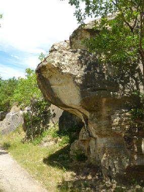 Holiday House in St. Privat, Les Salces (H�rault) or holiday homes and vacation rentals